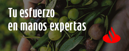 Santander Agro. Anticipa tu cosecha del olivar